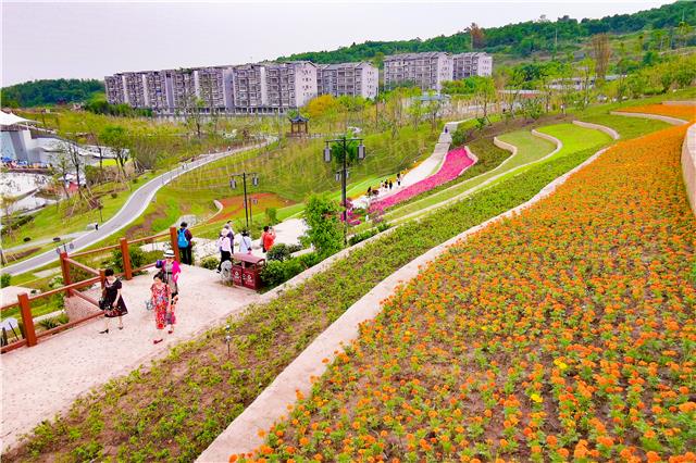 5月2日,游客畅游古道湾公园。(1).jpg