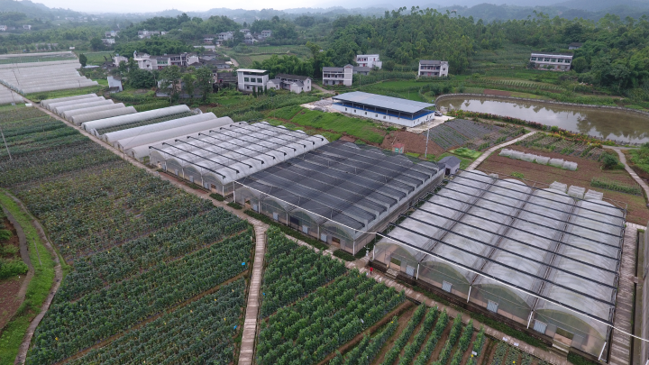 智能连栋温室大棚整齐划一。.JPG