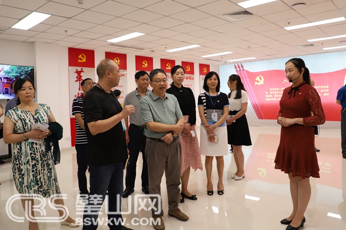 区政协中共界别小组调研基层党组织学习贯彻新