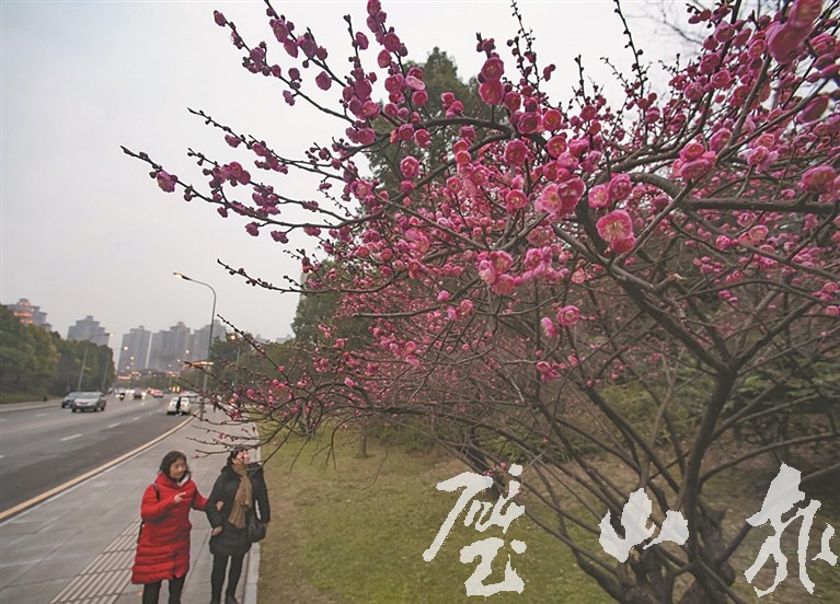 d21edef0b6cc4d4386041d1dde42a70d.jpg