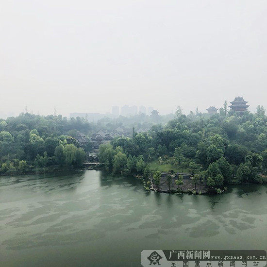 网媒记者走进璧山秀湖公园  烟雨朦胧美如画