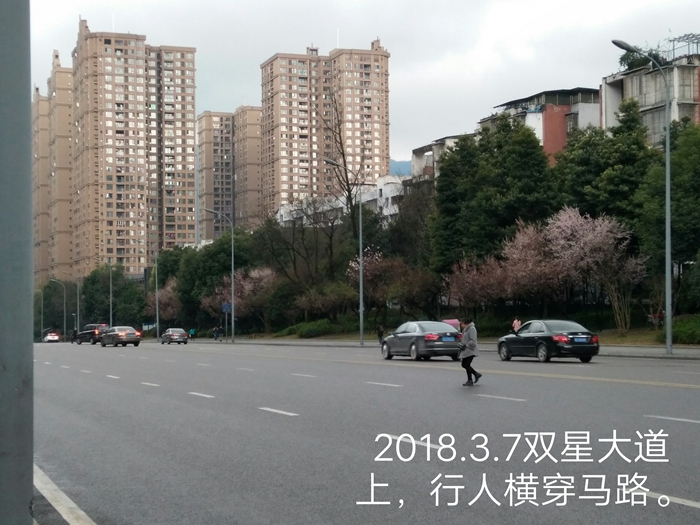 d5cbdbcf0b294aacb8a5517d8915c7d5.jpg