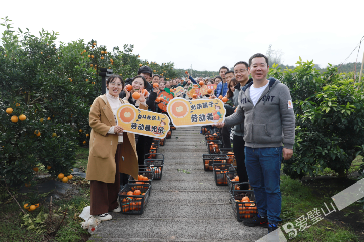 1-2、区总工会开展职工柑橘采摘助农活动(317223)-20231222140101.jpg