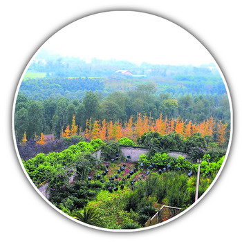 璧山区经济总量_璧山区来凤街道图片(3)