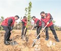 筑牢生态屏障 擦亮绿色本底 2021年春季义务植树活动举行 蓝庆华秦文敏陈强何平参加活动