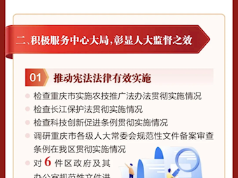 一图读懂丨璧山区人大常委会工作报告