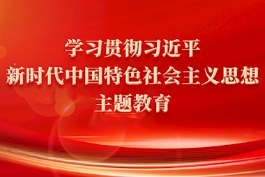 学习贯彻习近平新时代中国特色社会主义思想主题教育