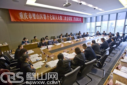 区领导参加人大代表团第三次会议