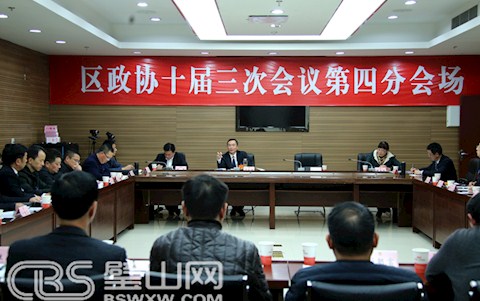 区政协十届三次会议举行分组协商