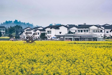 大地春意浓 乡村入画来