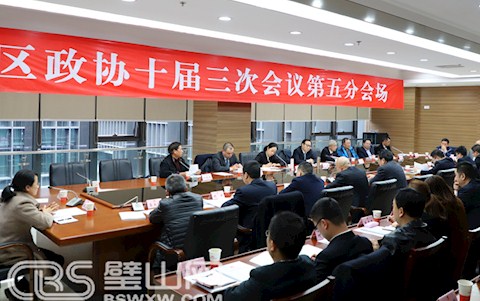 区政协十届三次会议举行分组协商