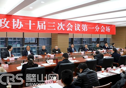 蓝庆华秦文敏向邦俊参加政协分组讨论
