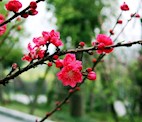 “立春”诗词