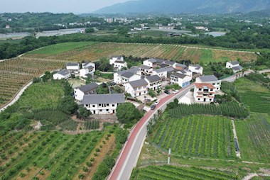 绘就巴渝和美乡村画卷