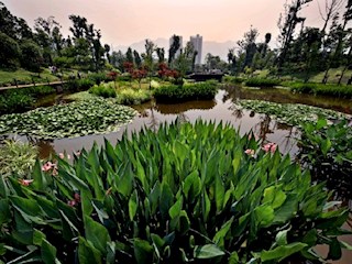 南河公园（湿地）