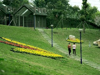 电视塔公园