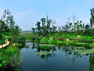 南河公园