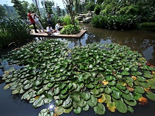 南河公园