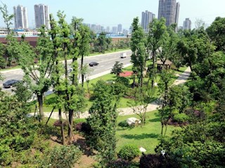 星岛公园