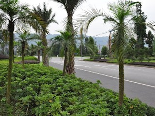 永嘉大道