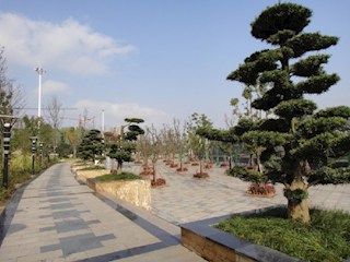 南河公园