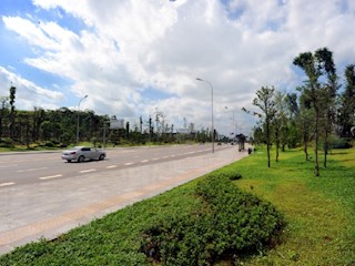 新区大道展靓容