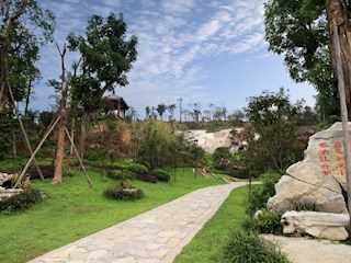 星岛公园