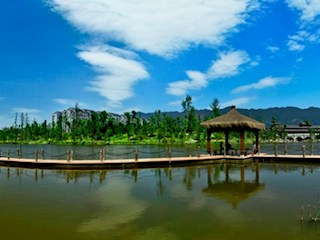 湿地公园