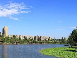 湿地公园