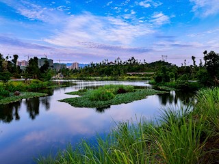 东岳公园