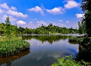 秀湖公园 