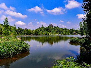 秀湖公园 