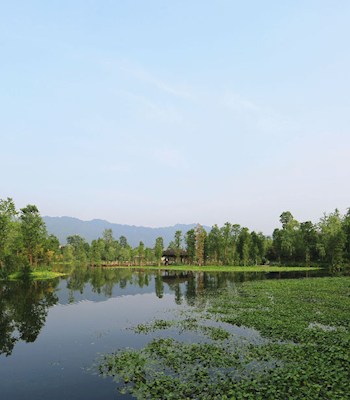 碧水蓝天