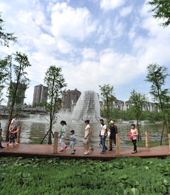 亲水栈道